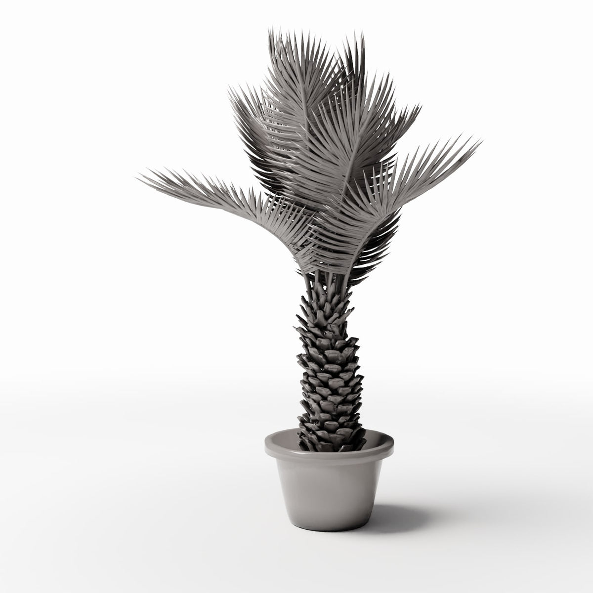 Photo produit de modélisme de diorama 3 : plantes de diorama : palmier sagou en pot (réf. 503D)