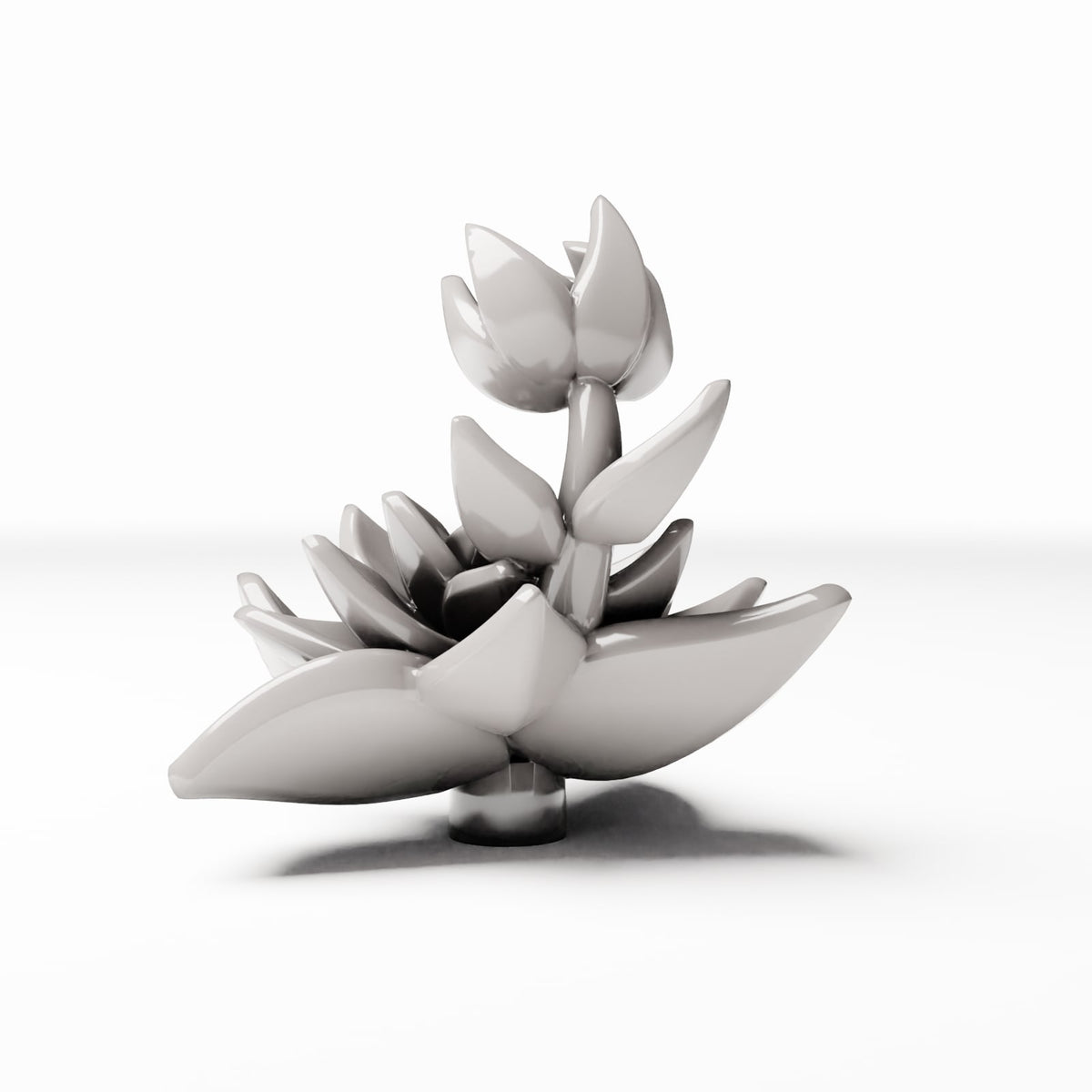 Photo produit de modélisme de diorama 0 : plantes pour diorama : succulente avec rejet latéral (réf. 547D)