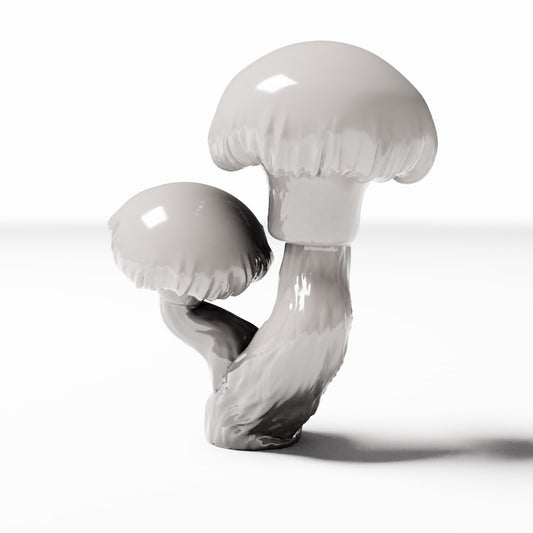 Photo de produit de modélisme de diorama 0 : plantes de diorama : champignons à chapeau rond, groupe de champignons (réf. 568D)