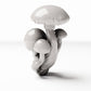 Photo de produit de modélisme de diorama 2 : plantes de diorama : touffe de champignons avec tronc d’arbre (réf. 575D)