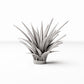 Photo produit de modélisme de diorama 0 : Plantes de diorama : plante en rosette en pot de fleurs (Réf. 582D)