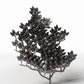 Photo produit pour diorama et modélisme 3 : Plantes pour diorama : plantes grimpantes denses pour façades (Ref. 685D)