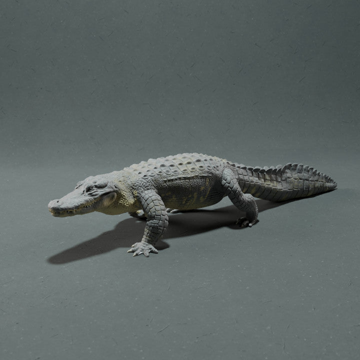 Photo du produit, figurine animale Animal Den Miniatures 3 : figurine animale : alligator du Mississippi (22_10_12)