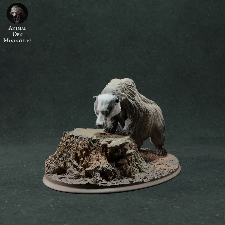 Photo produit figurine animale Animal Den Miniatures 1 : figurine d’animal sauvage : blaireau européen - reniflant (22_11_09)