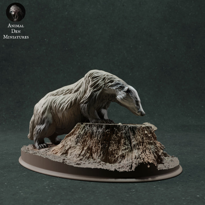 Photo produit figurine animale Animal Den Miniatures 2 : figurine d’animal sauvage : blaireau européen - en train de renifler (22_11_09)