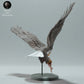 Photo produit figurine animale Animal Den Miniatures 1 : animal sauvage : pygargue à tête blanche mangeant un saumon (23_01_14)