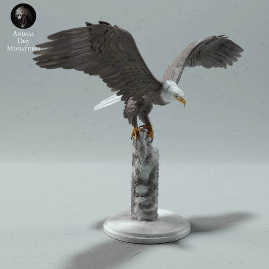 Photo produit figurine animale Animal Den Miniatures 0 : oiseau sauvage : pygargue à tête blanche (23_01_13)