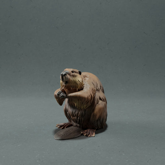 Photo produit figurine animale Animal Den Miniatures 0 : figurine d’animal sauvage : castor canadien (22_10_07)