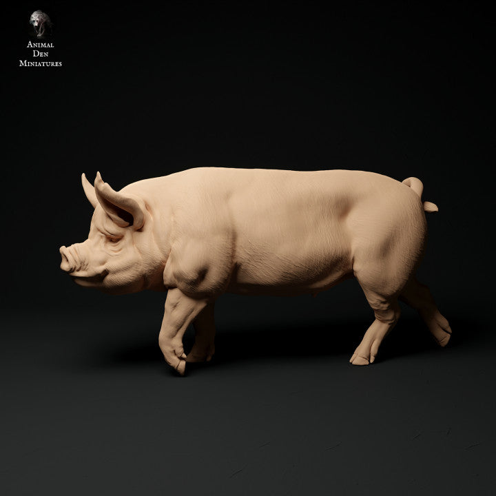 Photo de produit Figurine animale Diorama, modélisme : 0 : Figurines d'animaux de ferme : Sanglier marchant - Cochon Berkshire