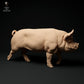 Photo de produit Figurine animale Diorama, modélisme : 0 : Figurines d'animaux de ferme : Sanglier marchant - Cochon Berkshire
