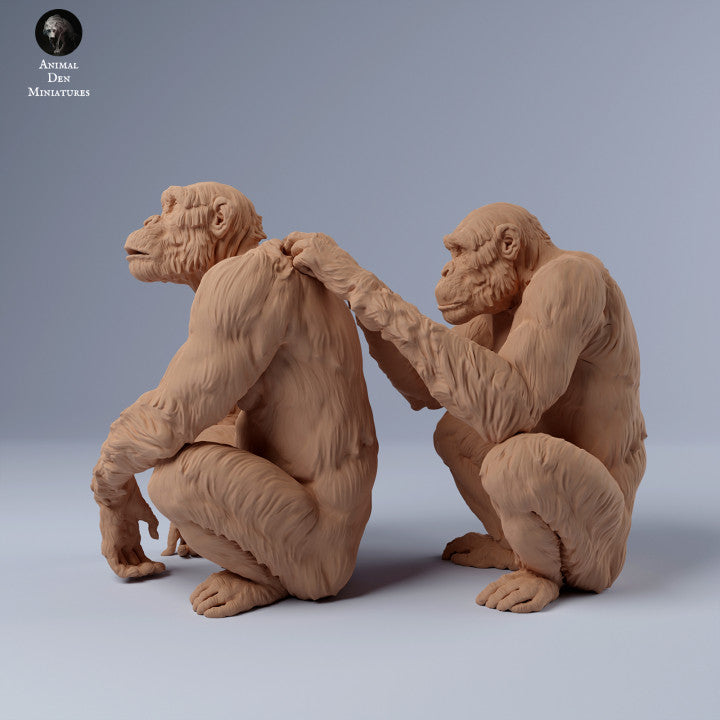 Photo de produit Figurine animale Diorama, modélisme : 0 : Des chimpanzés se toilettent : Animaux d'Afrique