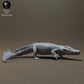 Photo de produit figurine animale Animal Den Miniatures 0 : figurine animale reptile : crocodile du Nil (23_03_07)