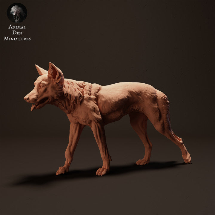 Photo produit figurine animale Animal Den Miniatures 0 : figurine d’animal sauvage : dingo - en marche (23_04_07)