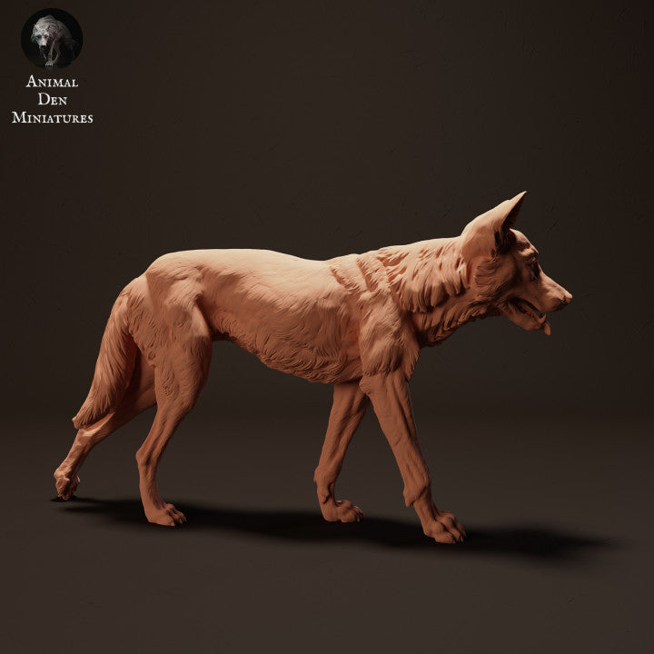 Photo produit figurine animale Animal Den Miniatures 1 : figurine d’animal sauvage : dingo - en marche (23_04_07)