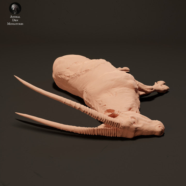 Photo de produit Figurine animale Diorama, modélisme : 0 : Cadavre de Gemsbok Antilope : Animaux d'Afrique