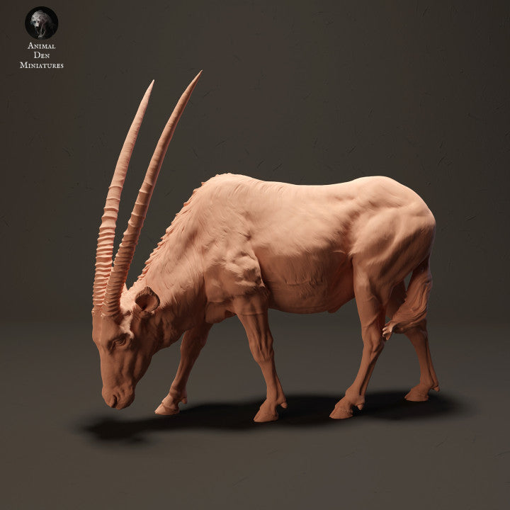 Photo de produit Figurine d'animal Diorama, modélisme : 0 : Gemsbok antilope broutant : Animaux d'Afrique