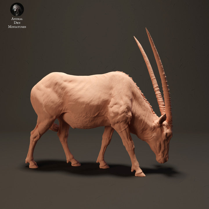 Photo de produit Figurine d'animal Diorama, modélisme : 0 : Gemsbok antilope broutant : Animaux d'Afrique