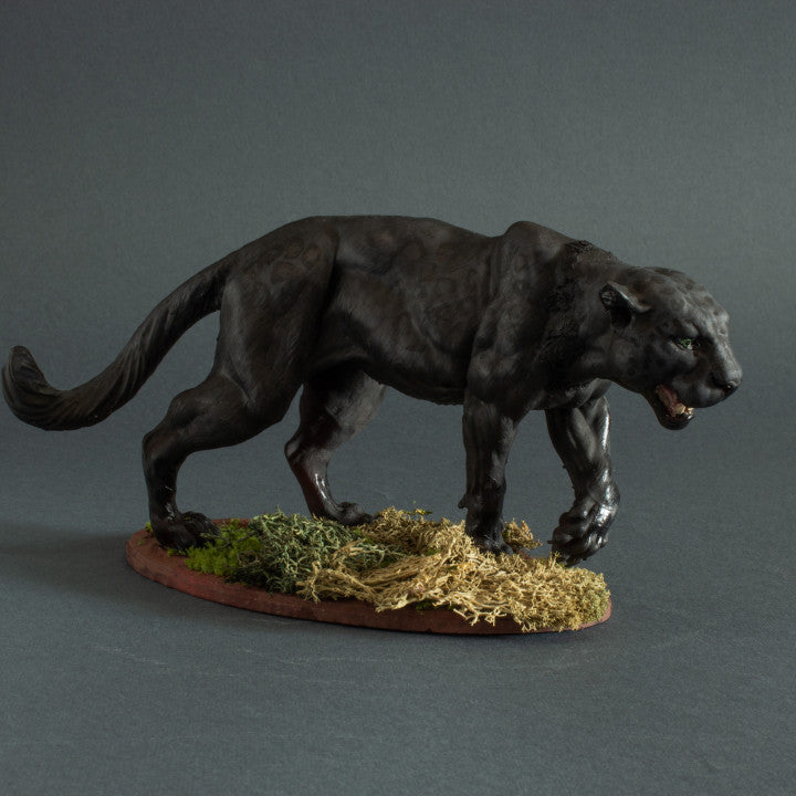 Photo produit figurine animale Animal Den Miniatures 3 : figurine d’animal sauvage : panthère noire - jaguar (22_06_04)