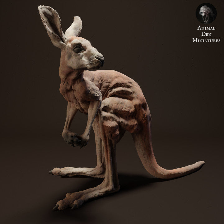 Photo produit figurine animale Animal Den Miniatures 2 : figurine d’animal sauvage : jeune kangourou roux géant (23_04_05)