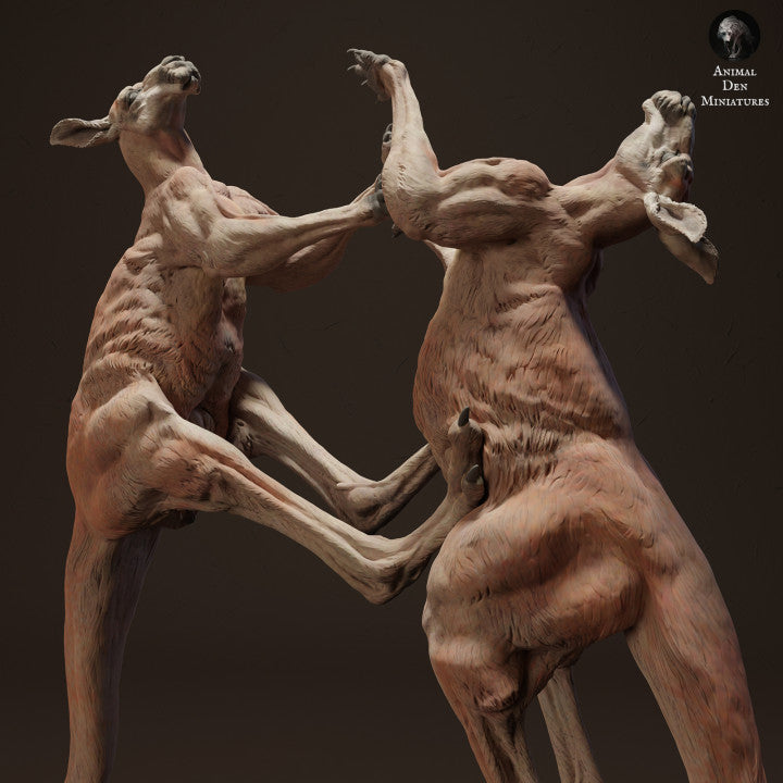 Produktfoto Tierfigur Animal Den Miniatures 0: Wildtier Tierfigur: Rote Riesenkängurus im Kampf (23_04_10)