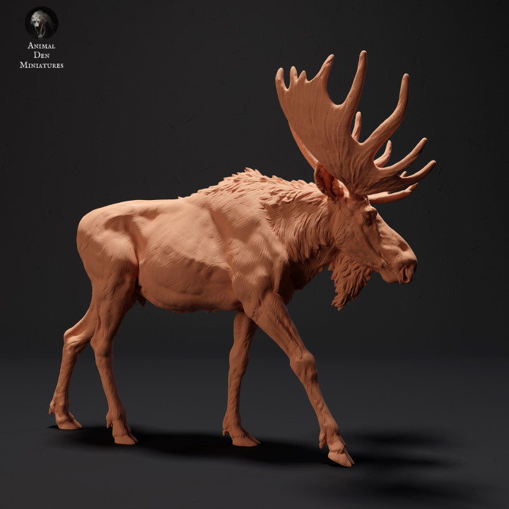 Produktfoto Tier Figur Diorama, Modellbau: 0: Mächtiger Elch: Tiere des Nordens