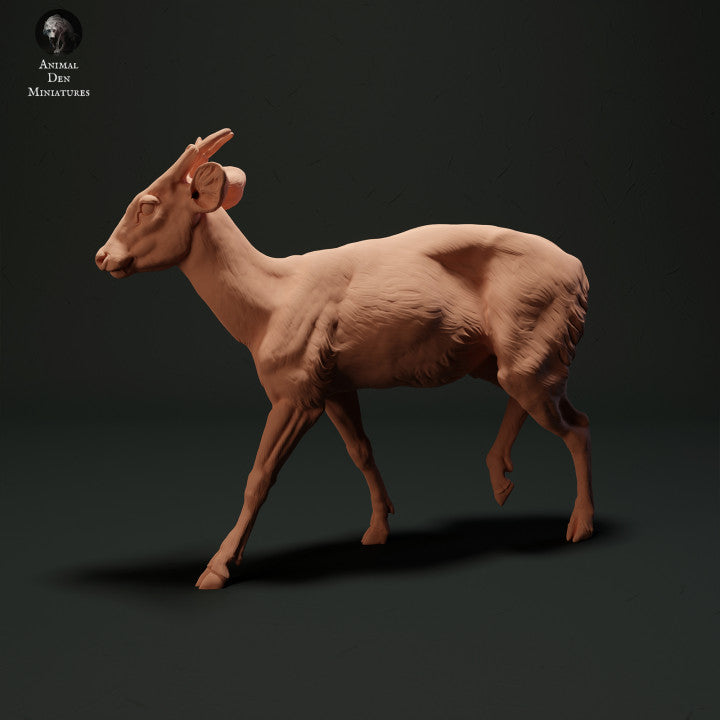 Photo du produit figurine animale Animal Den Miniatures 0 : figurine d’animal sauvage : muntjac (23_05_04)