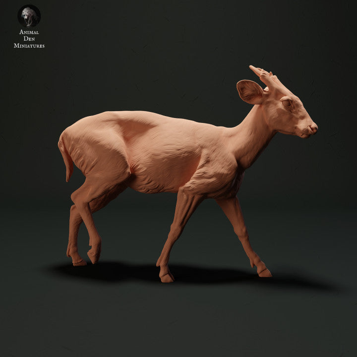 Photo produit figurine animale Animal Den Miniatures 1 : Figurine d’animal sauvage : cerf muntjac (23_05_04)