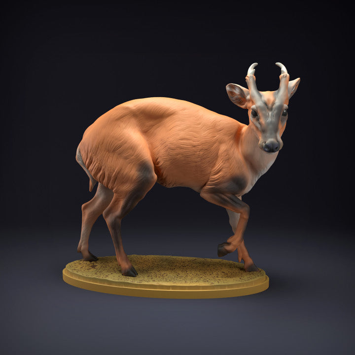 Photo produit figurine animale Animal Den Miniatures 1 : figurine d’animal sauvage : cerf muntjac (22_08_08)