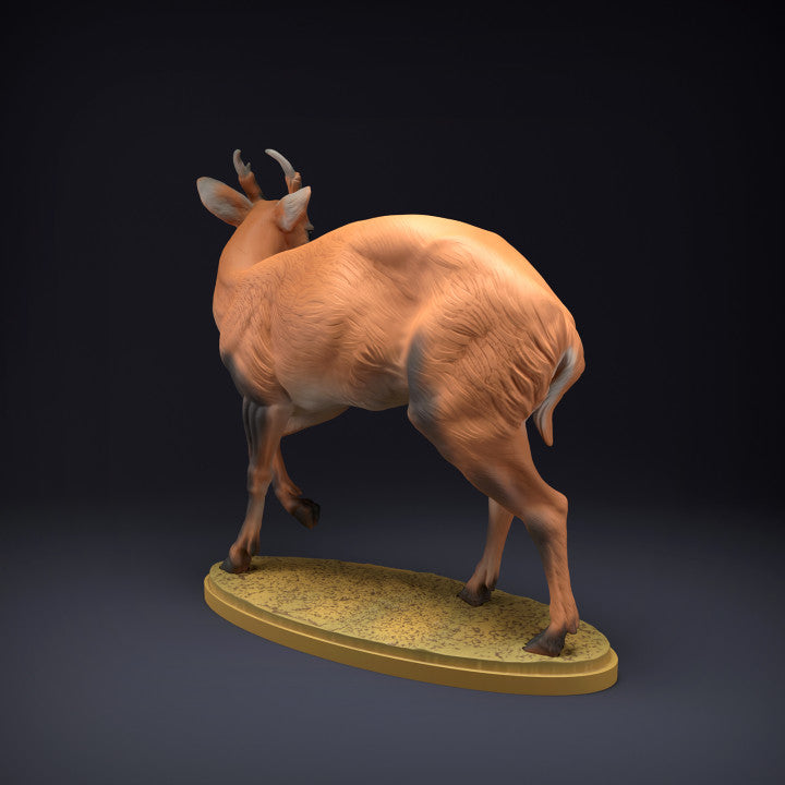 Photo produit figurine animale Animal Den Miniatures 2 : figurine d’animal sauvage : cerf muntjac (22_08_08)