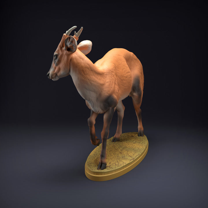 Photo du produit, figurine animale Animal Den Miniatures 3 : figurine d’animal sauvage : cerf muntjac (22_08_08)