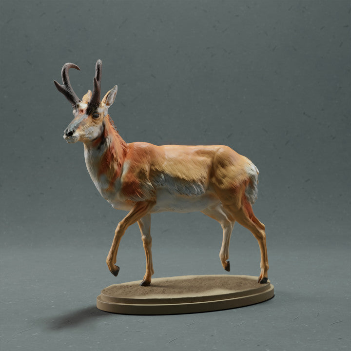 Photo produit figurine animale Animal Den Miniatures 0 : figurine d’animal sauvage : antilope d’Amérique mâle (22_10_09)
