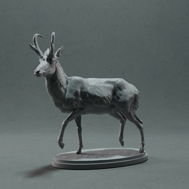 Photo produit figurine animale Animal Den Miniatures 1 : figurine d’animal sauvage : antilope d’Amérique mâle (22_10_09)