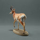 Photo produit figurine animale Animal Den Miniatures 3 : animal sauvage figurine animale : antilope d’Amérique mâle (22_10_09)