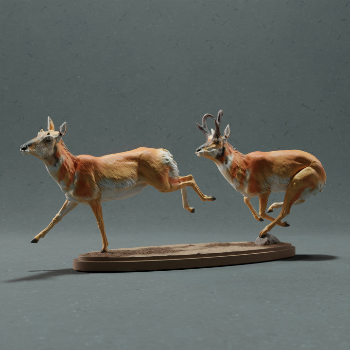 Photo produit figurine animale Animal Den Miniatures 0 : figurine d’animal sauvage : antilope d’Amérique au galop (22_10_10)