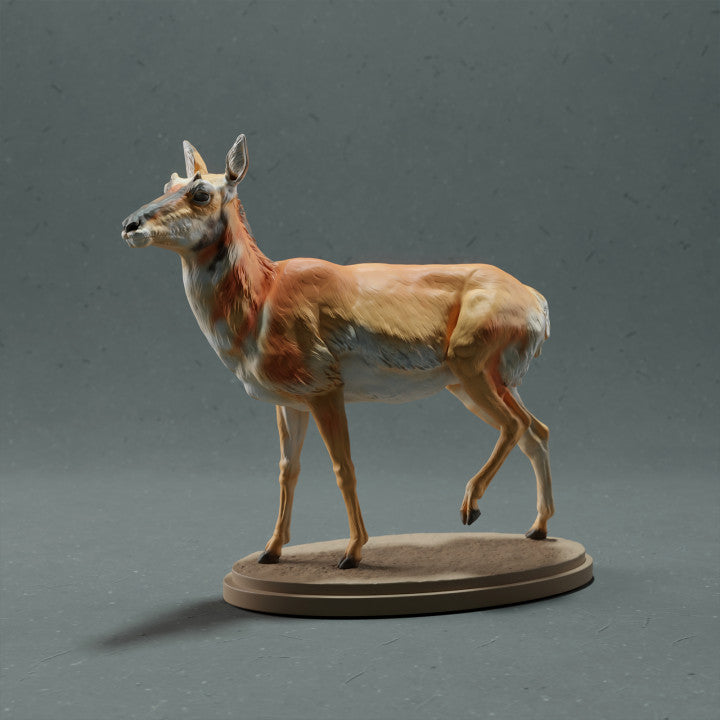 Produktfoto Tierfigur Animal Den Miniatures 0: Wildtier Tierfigur: Gabelbock - Weibchen (22_10_08)