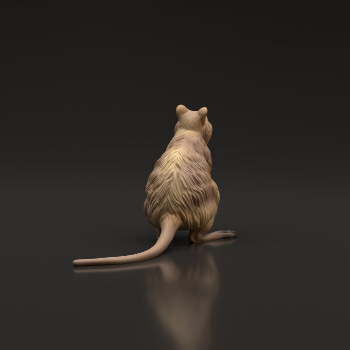 Photo produit figurine animale Animal Den Miniatures 3 : animal sauvage : quokka (22_06_07)