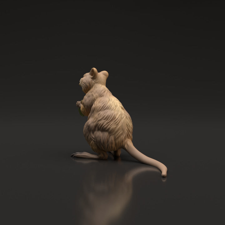 Photo de produit figurine animale Animal Den Miniatures 4 : animal sauvage, figurine de quokka (22_06_07)
