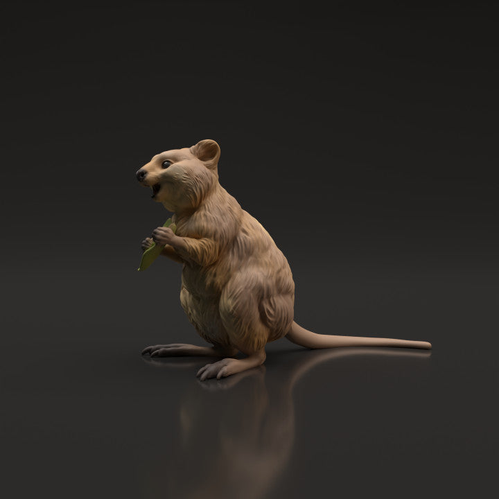 Photo produit figurine animale Animal Den Miniatures 5 : animal sauvage : Quokka (22_06_07)
