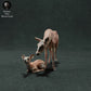 Produktfoto Tierfigur Animal Den Miniatures 0: Wildtier Tierfigur: Rothirschkuh mit Kalb (22_11_10)