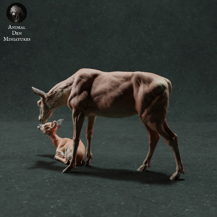 Produktfoto Tierfigur Animal Den Miniatures 2: Wildtier Tierfigur: Rothirschkuh mit Kalb (22_11_10)