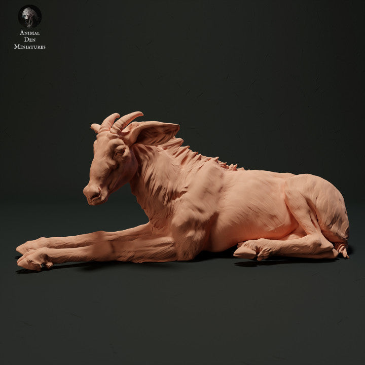 Photo produit figurine animale Animal Den Miniatures 0 : figurine d’animal sauvage : Sérau de Sumatra - couché (23_05_05)