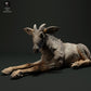 Photo produit figurine animale Animal Den Miniatures 2 : figurine d’animal sauvage : sérau de Sumatra - couché (23_05_05)