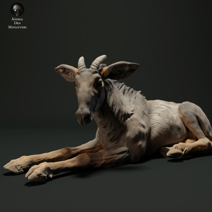 Photo produit figurine animale Animal Den Miniatures 2 : figurine d’animal sauvage : sérau de Sumatra - couché (23_05_05)