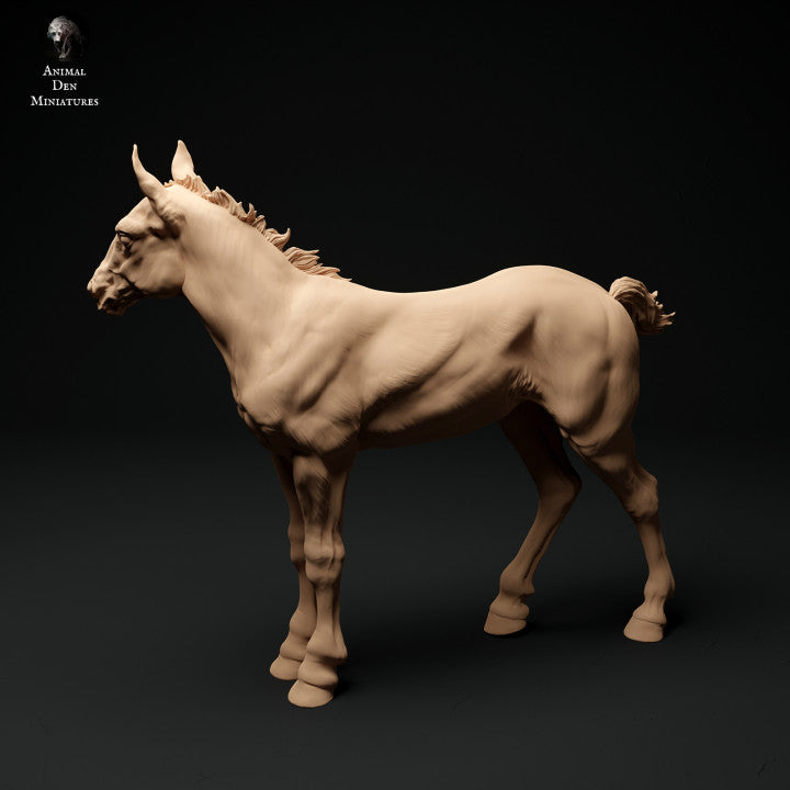 Photo de produit Figurine d'animal Diorama, modélisme : 0 : Figurine d'animal de ferme : 2 poulains - cheval debout et cheval marchant