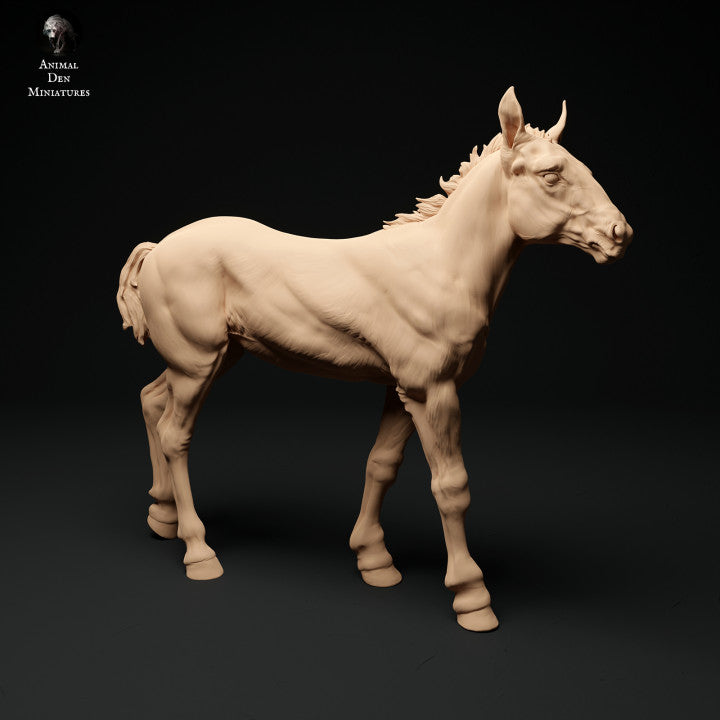 Photo de produit Figurine d'animal Diorama, modélisme : 0 : Figurine d'animal de ferme : 2 poulains - cheval debout et cheval marchant