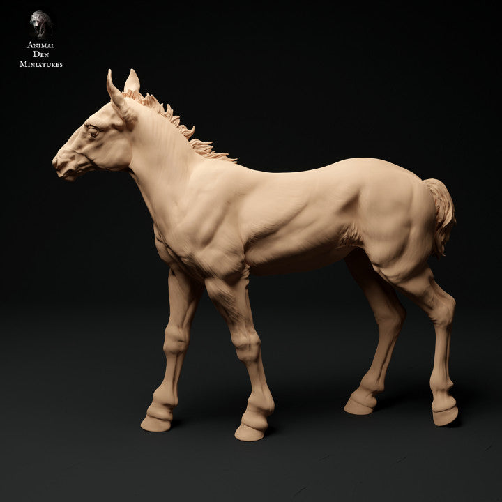 Photo de produit Figurine d'animal Diorama, modélisme : 0 : Figurine d'animal de ferme : 2 poulains - cheval debout et cheval marchant