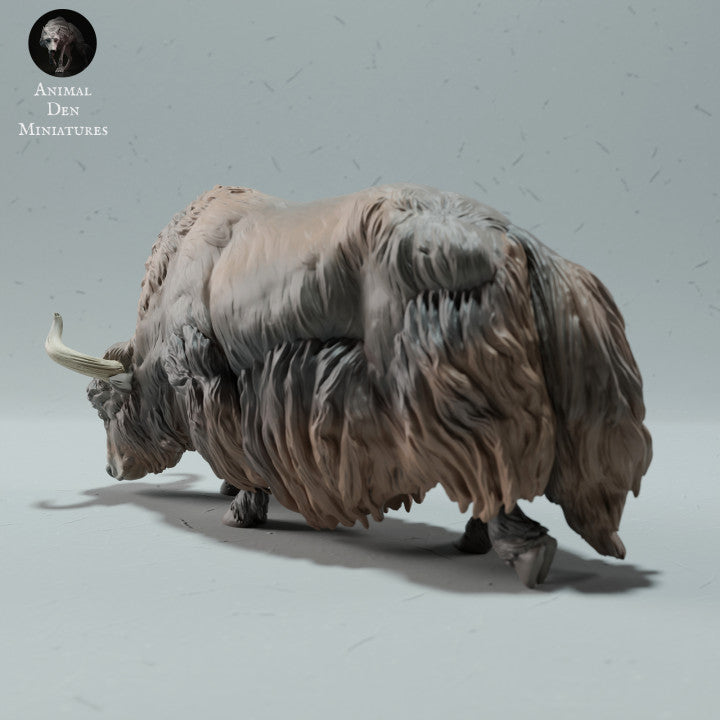 Photo produit figurine animale Animal Den Miniatures 3 : figurine d’animal sauvage : yak sauvage de l’Himalaya - en train de brouter (23_01_10)
