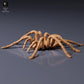 Photo du produit : figurine d’animal Animal Den Miniatures 7 : figurine d’araignée : mygale de Goliath (26_10_01)