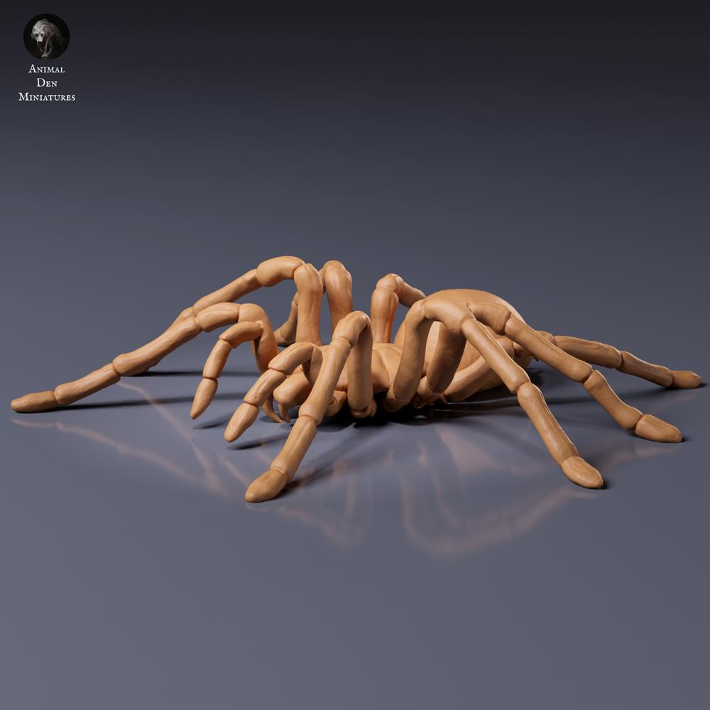 Photo du produit : figurine d’animal Animal Den Miniatures 7 : figurine d’araignée : mygale de Goliath (26_10_01)