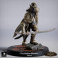 Photo du produit Tabletop 28mm Lord of the Print (LotP) 0: Tabletop Miniature : Assassine et Duelliste Dunkelelf / Dark Elf, Ombre avec deux lames courbées (26_03_G15)